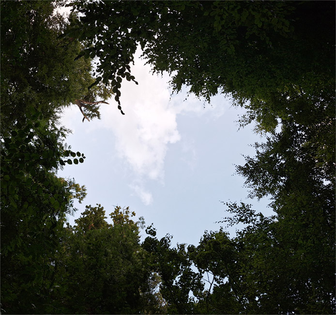 Image filler de la Chronique