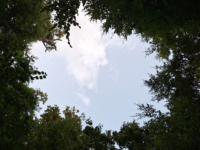 Image illustrant la chronique